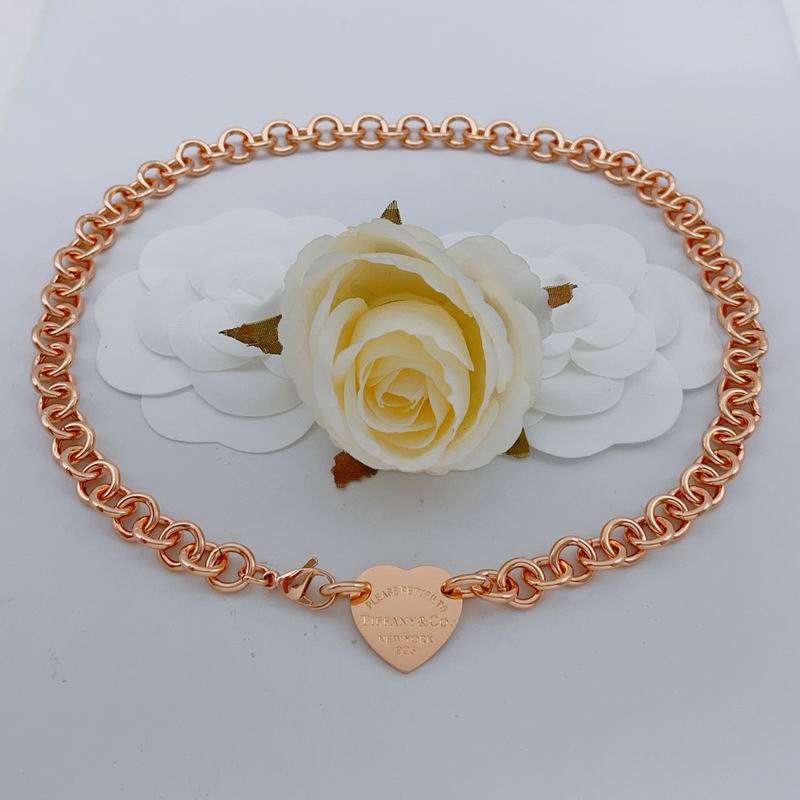 Tiffany Necklace 06yxs25
